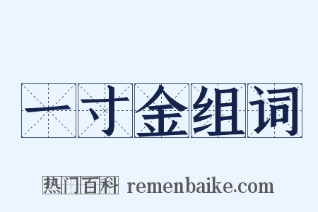 一寸金组词是什么意思的图片